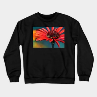 Sunseeker II Crewneck Sweatshirt